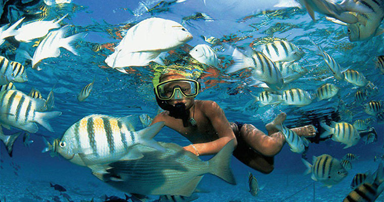 Snorkel in the Cancun Underwater Museum 